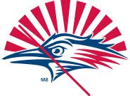 MSU Roadrunner Logo -Misuse - unapproved added graphics